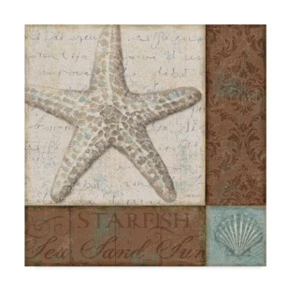 Lisa Audit 'Brown and Teal Shell II' Canvas Art, 18x18, Trademark Fine Art, Mfr#: ALI31527-C1818GG